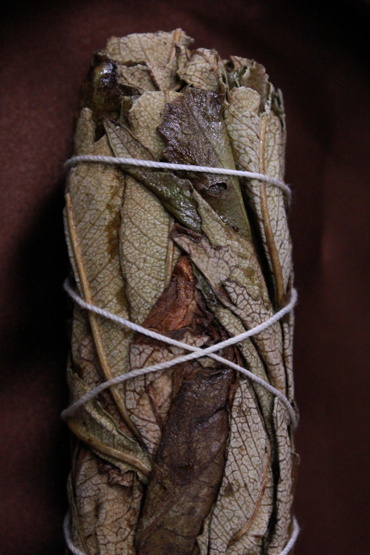 Yerba Santa