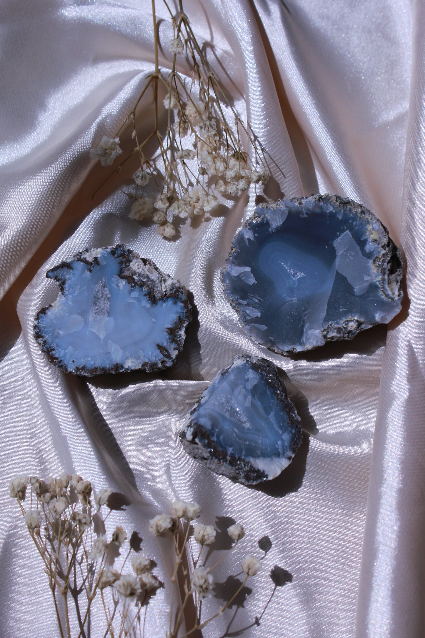 Agate Coconut Brute