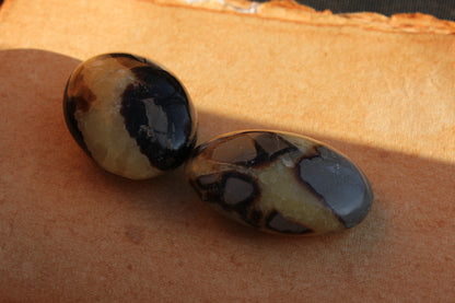 Galet de Septaria