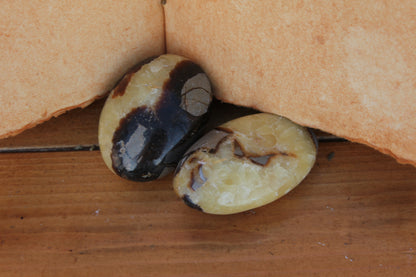 Galet de Septaria